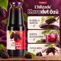 Taneli Karadut Özü 1350 Gr